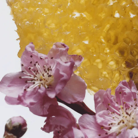 Nectarine Blossom & Honey Body & Hand Lotion
