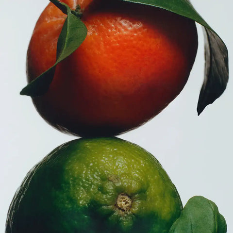 Lime Basil & Mandarin Outdoor Candle